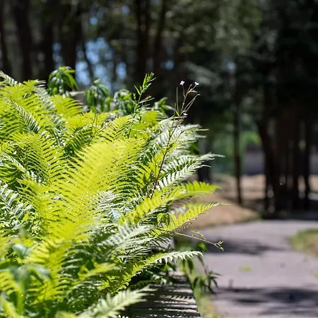 Osrodek Wypoczynkowy Neptun Resort *